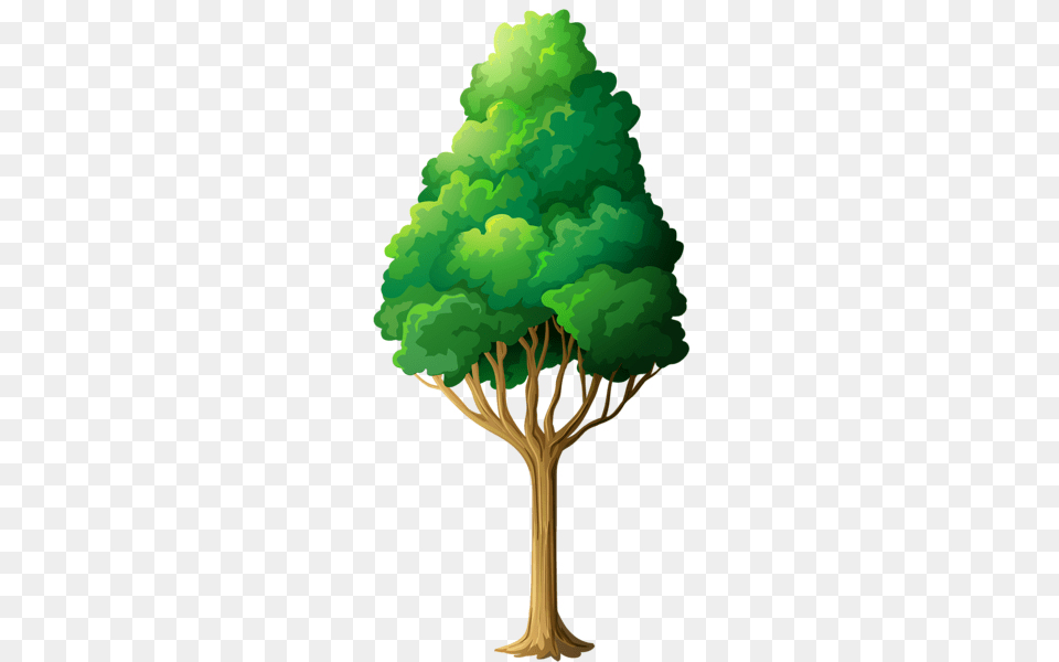 Tree, Plant, Vegetation, Woodland, Grove Free Png