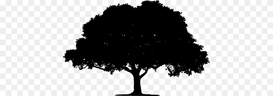 Tree Gray Png