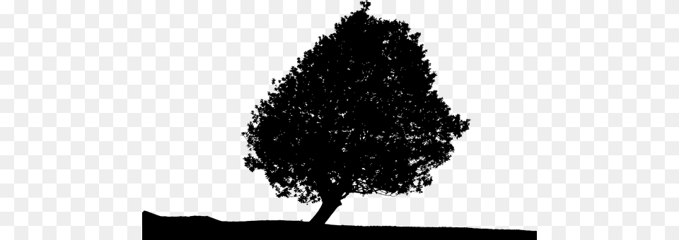 Tree Gray Png