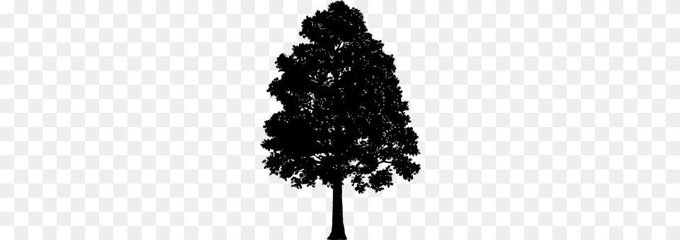 Tree Gray Png