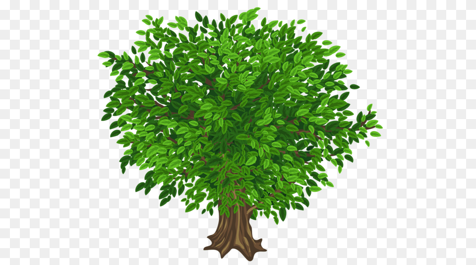Tree, Plant, Green, Vegetation, Potted Plant Png Image