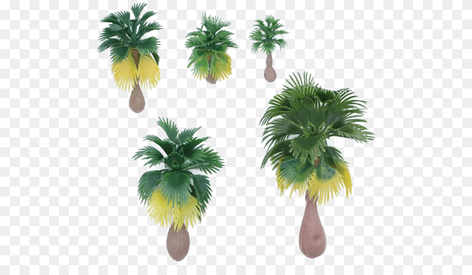 Tree, Palm Tree, Plant, Leaf Png Image