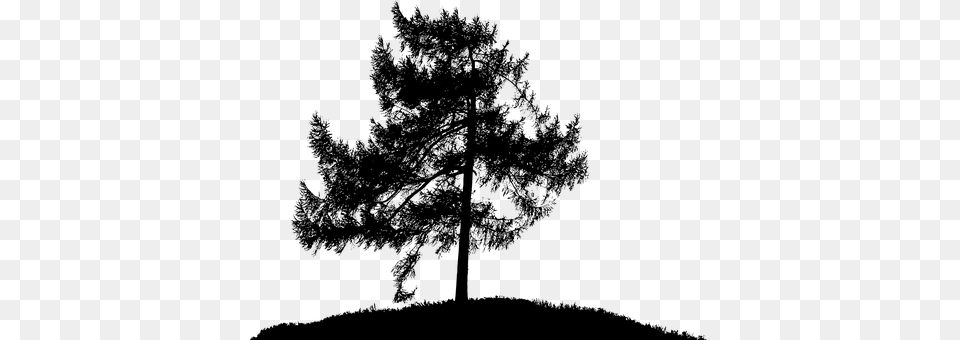 Tree Gray Png