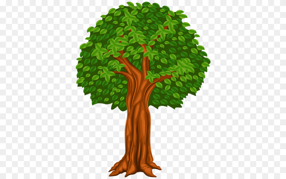 Tree, Plant, Vegetation, Tree Trunk, Grove Free Png Download
