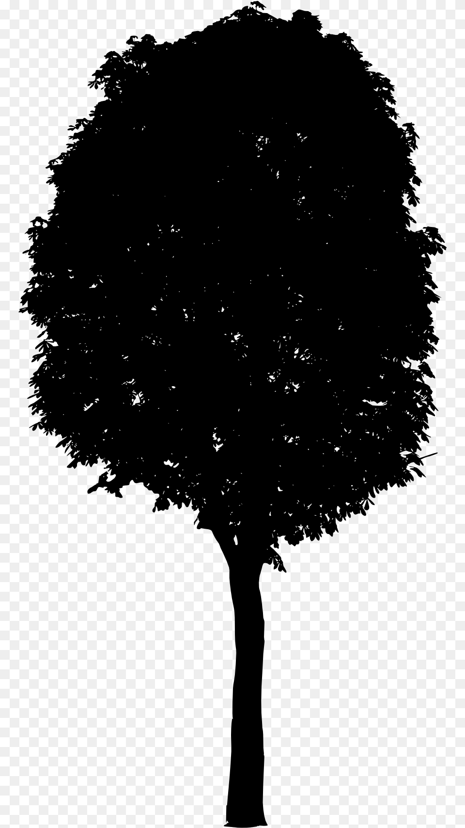 Tree 2 Black Tree Silhouette, Gray Free Png