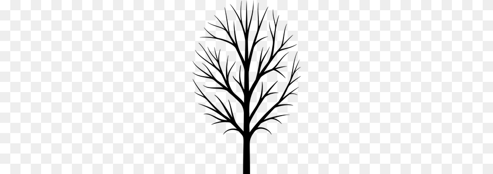 Tree Gray Png