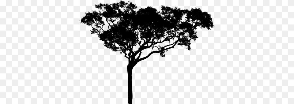 Tree Gray Free Png Download