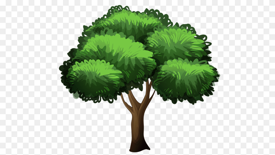 Tree, Plant, Vegetation, Green, Tree Trunk Free Png Download