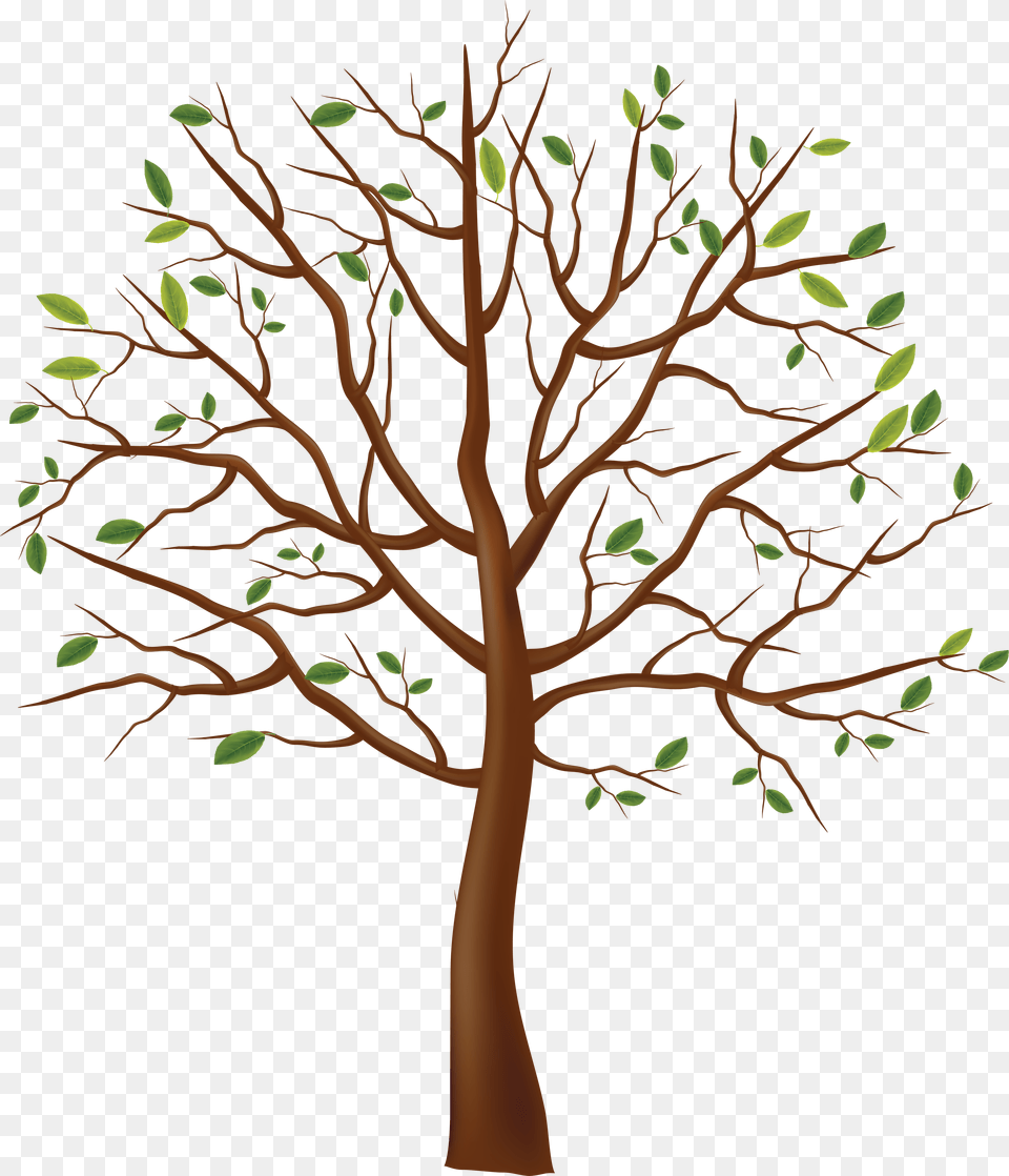 Tree, Plant, Tree Trunk, Art, Oak Free Png