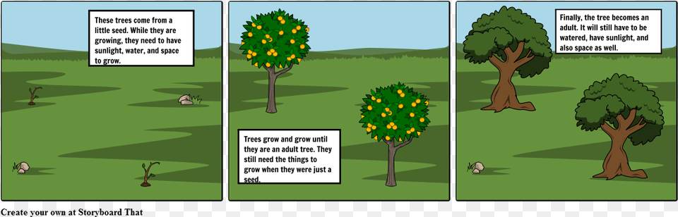 Tree, Book, Comics, Vegetation, Grass Free Png Download