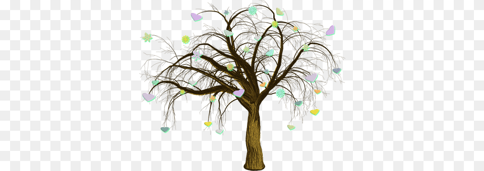 Tree Plant, Chandelier, Lamp, Pattern Png