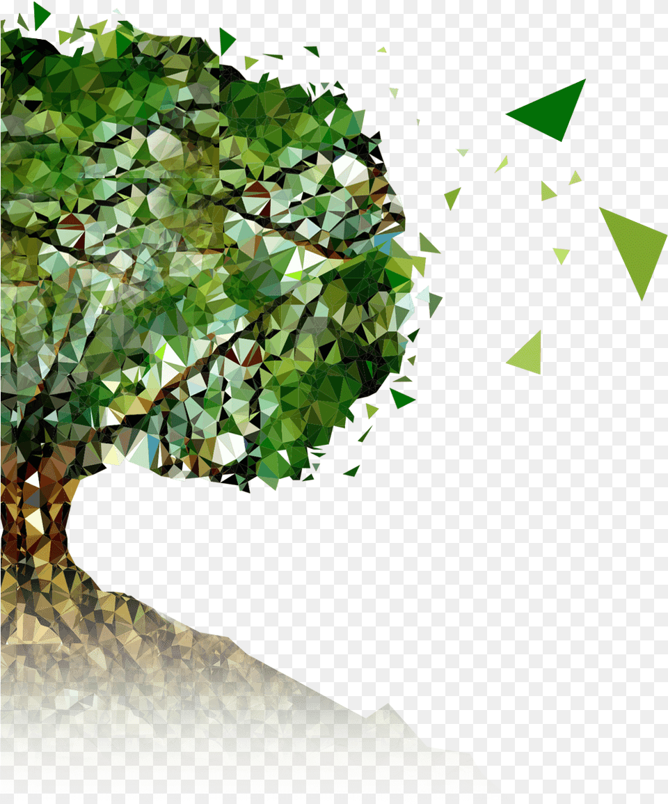 Tree, Vegetation, Outdoors, Nature, Leaf Free Transparent Png