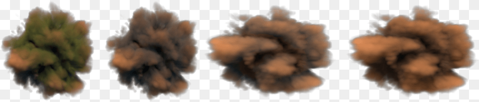 Tree, Plant, Mineral, Smoke Png Image