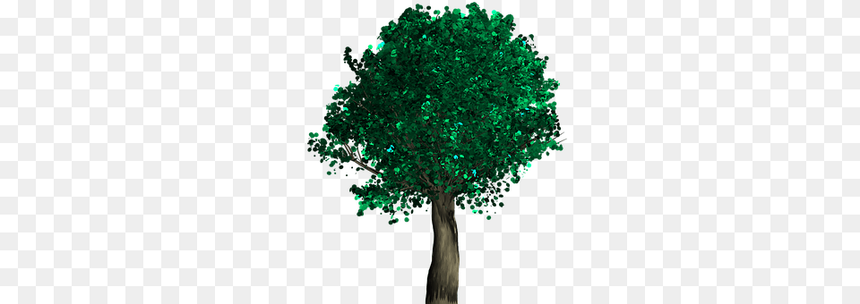 Tree Plant, Accessories, Emerald, Gemstone Free Png Download