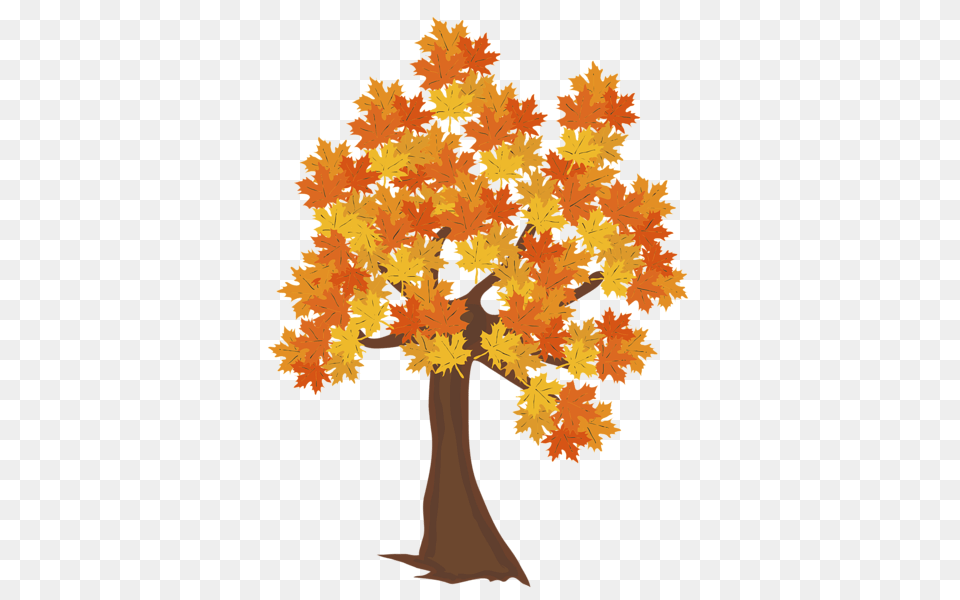Tree, Leaf, Maple, Plant, Oak Free Transparent Png