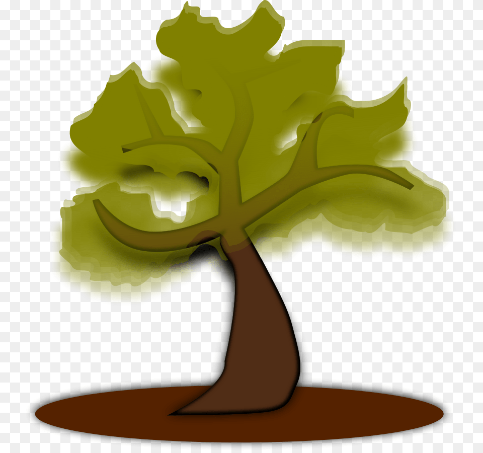 Tree, Plant, Leaf, Person Free Transparent Png