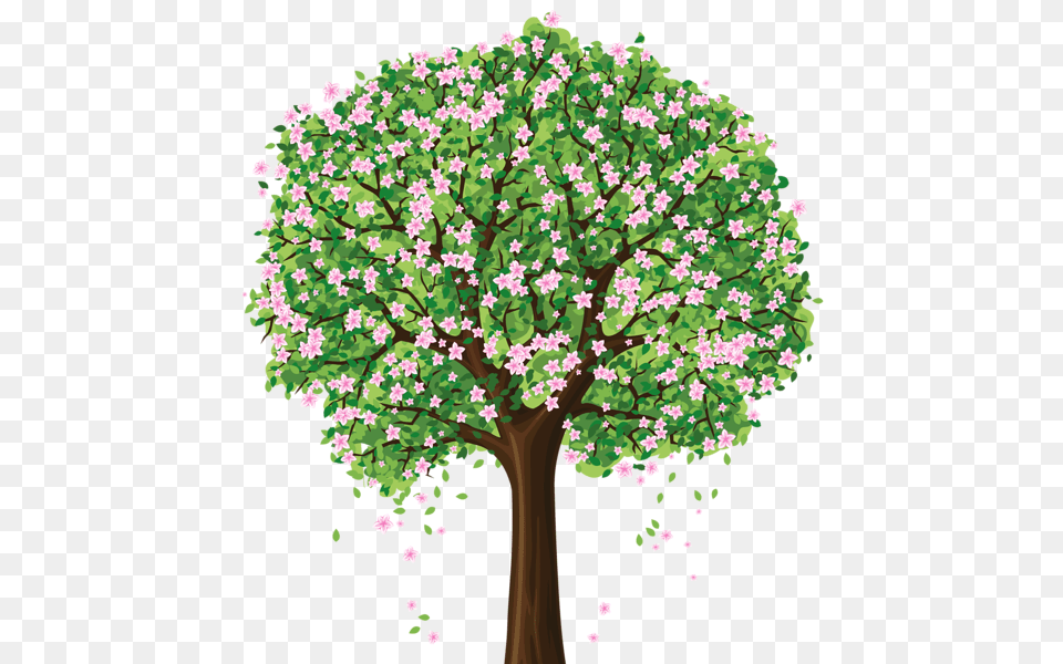 Tree, Plant, Oak, Sycamore, Flower Png Image