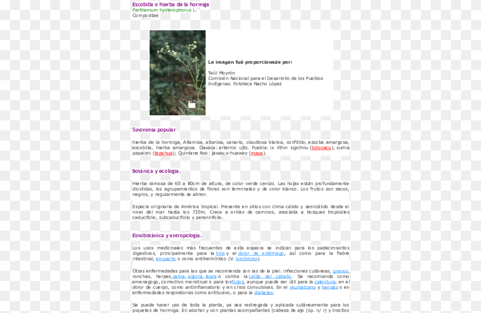 Tree, Page, Text, File, Grass Free Png