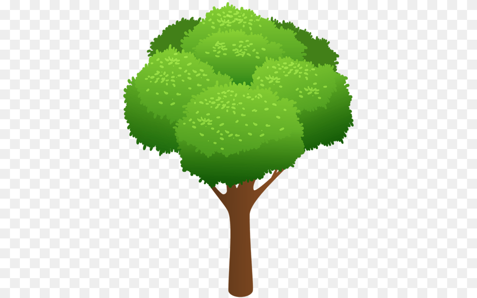 Tree, Green, Plant, Vegetation Png Image