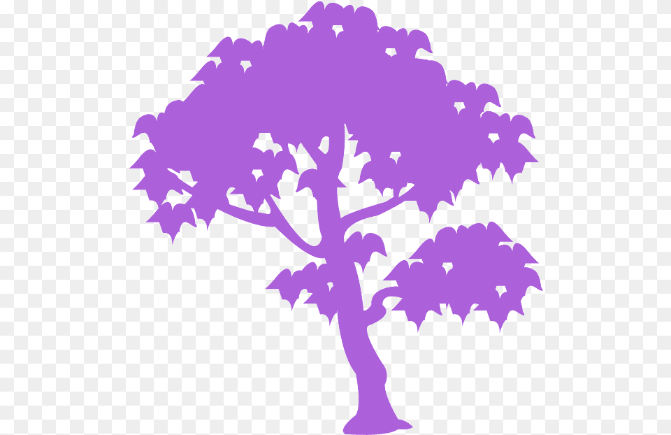 Tree, Leaf, Plant, Oak, Sycamore Free Transparent Png