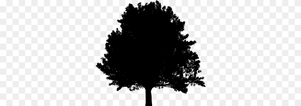 Tree Gray Png Image