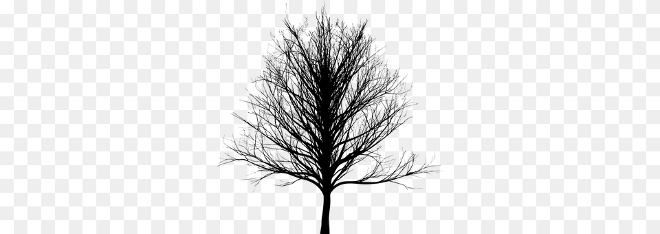 Tree Gray Png Image