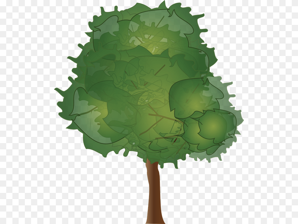Tree, Green, Leaf, Plant, Sphere Free Png