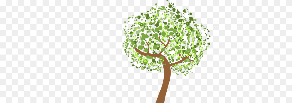 Tree Plant, Vegetation, Green, Oak Free Transparent Png