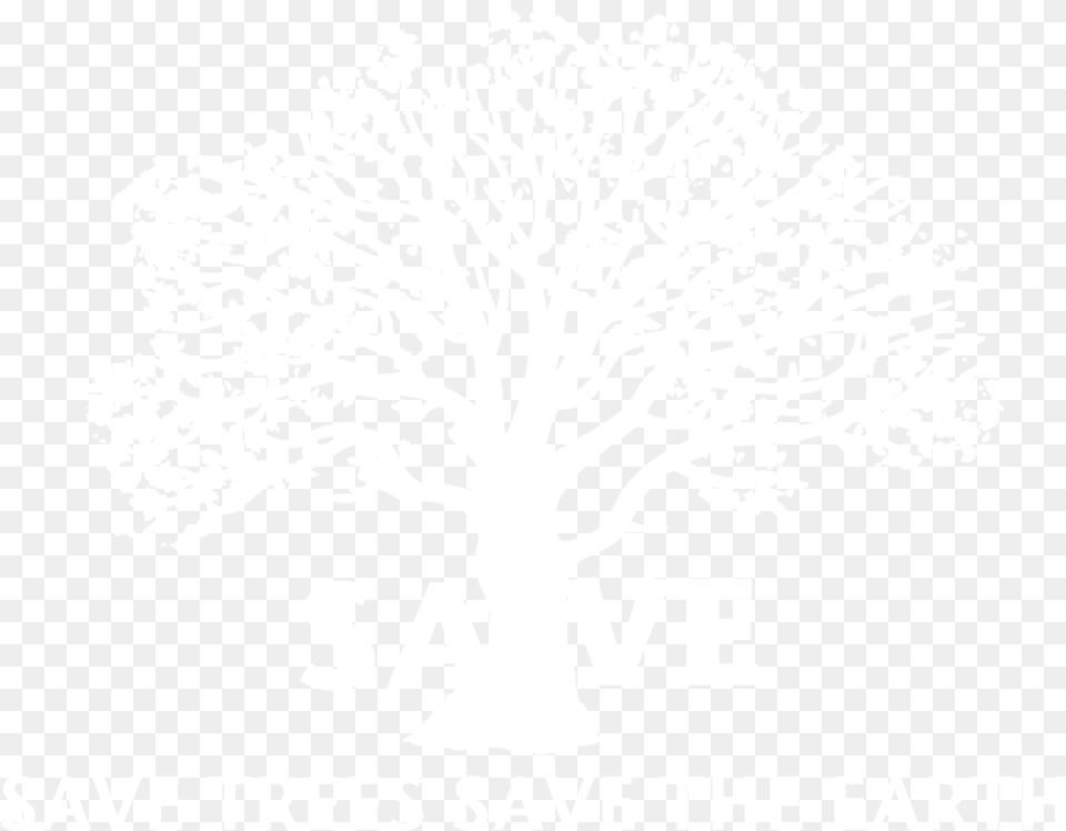 Tree, Oak, Plant, Stencil, Sycamore Free Png