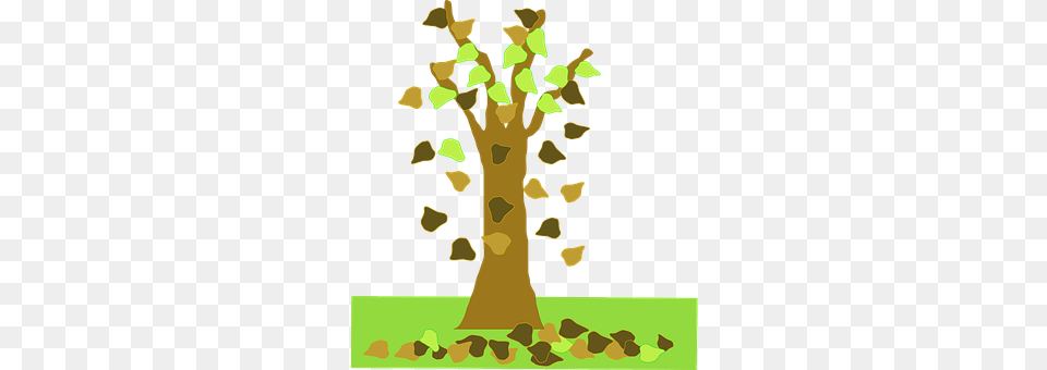 Tree Plant, Tree Trunk, Person, Wedding Png Image