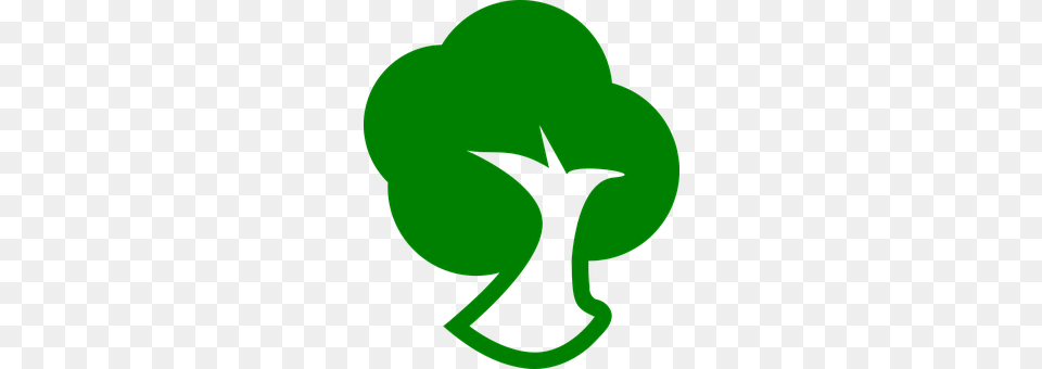 Tree Green, Symbol Free Transparent Png