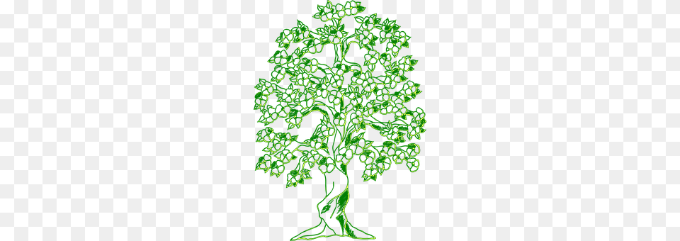 Tree Green, Plant, Herbs, Moss Free Png