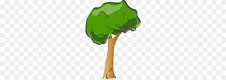 Tree Plant, Broccoli, Food, Produce Png