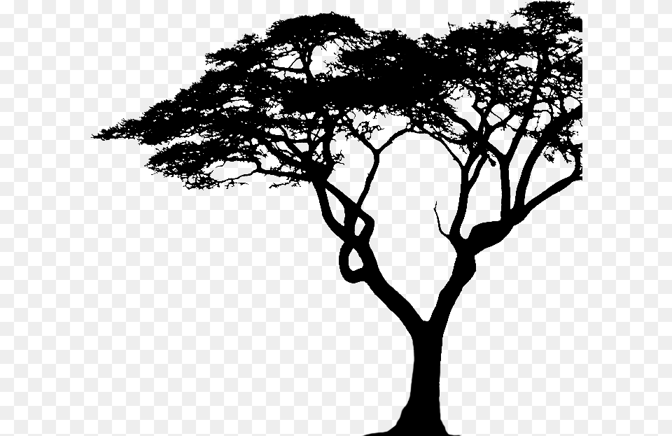 Tree 2d 2d Tree Black, Plant, Silhouette, Art, Person Free Png