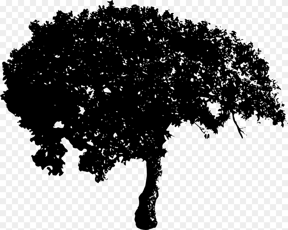 Tree 3 Illustration, Gray Free Png