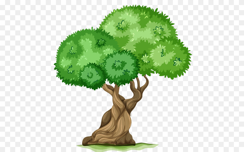 Tree, Plant, Potted Plant, Vegetation, Conifer Free Transparent Png