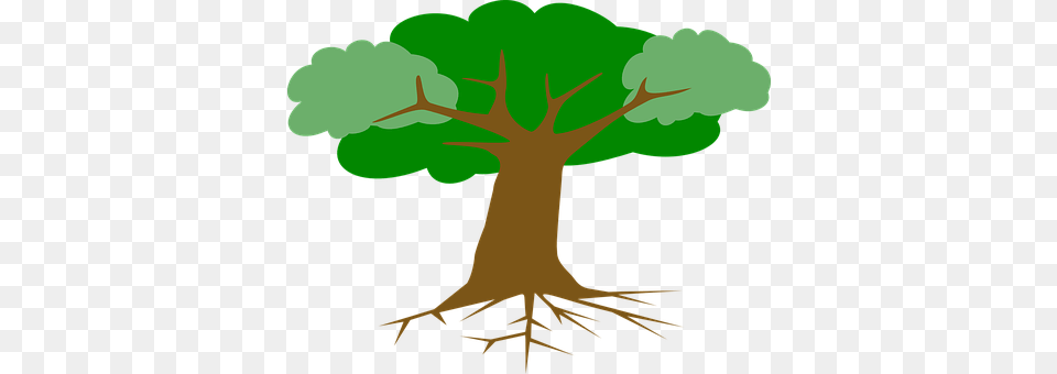 Tree Plant, Root Free Png Download