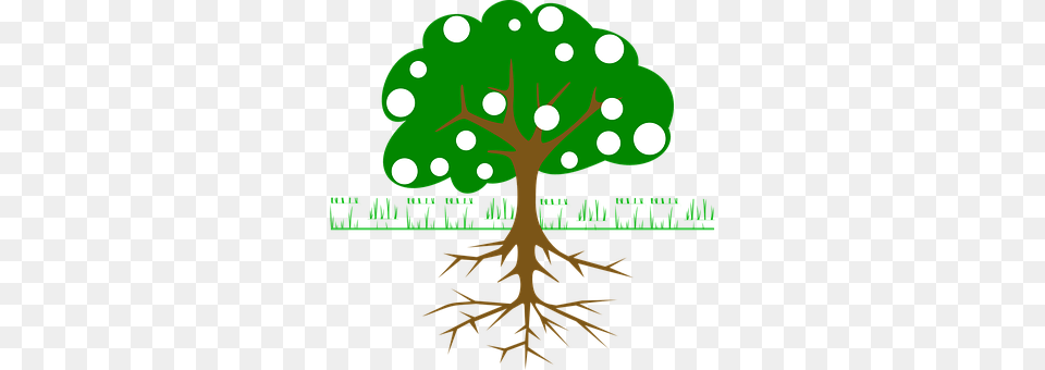 Tree Plant, Root, Animal, Bear Png Image