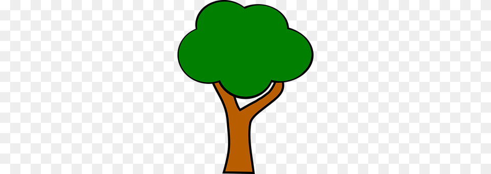 Tree Green, Plant, Potted Plant Png Image