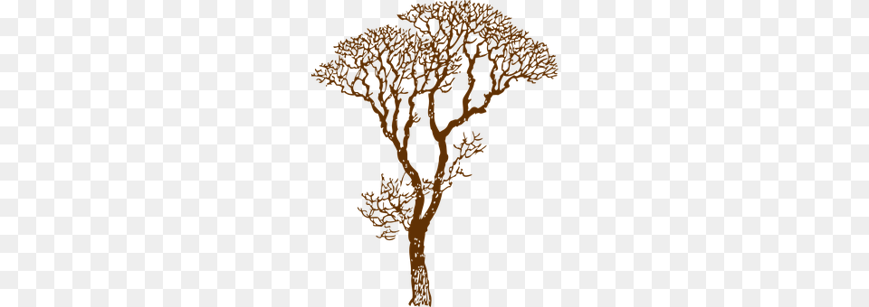 Tree Plant, Person, Art, Drawing Free Png Download