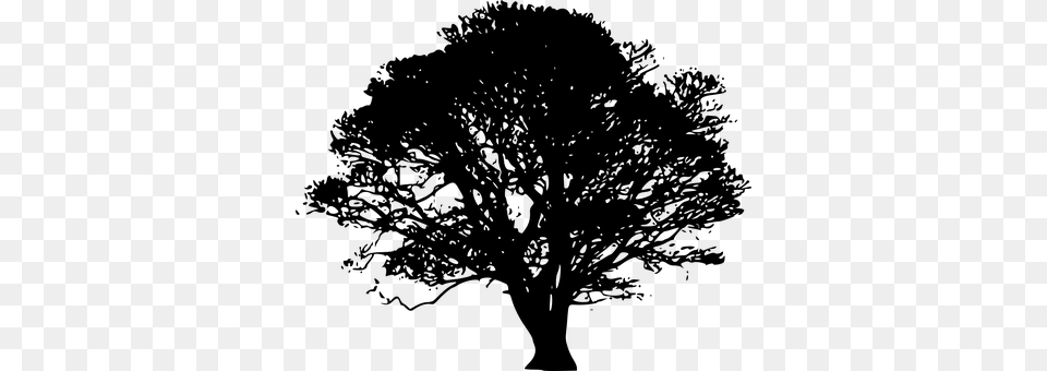 Tree Gray Free Transparent Png
