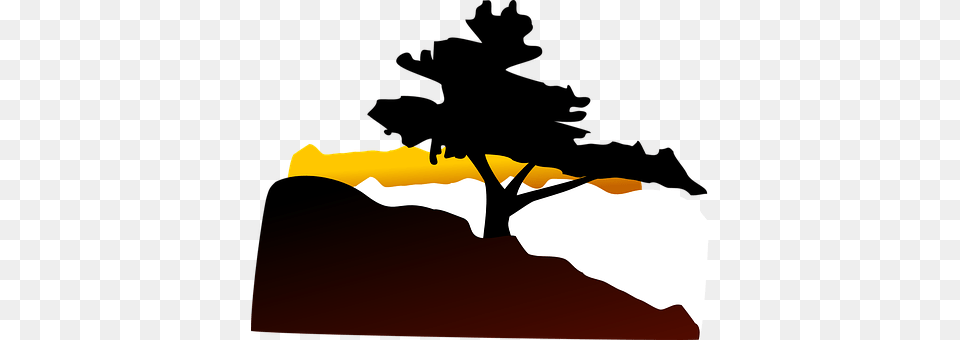 Tree Plant, Silhouette, Outdoors, Baby Png