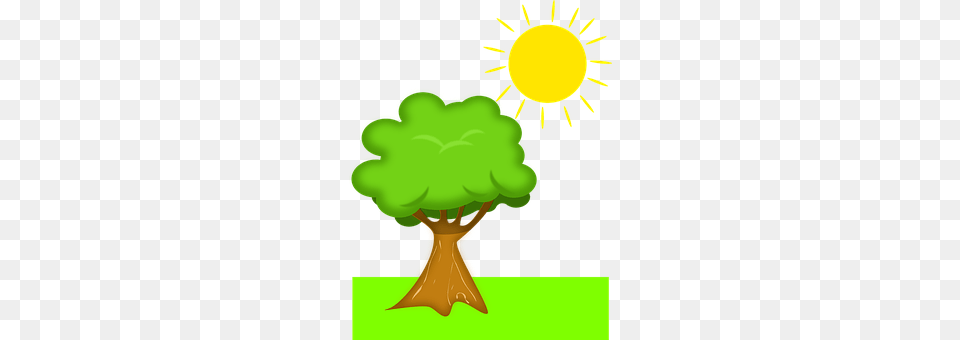 Tree Green, Plant, Art, Graphics Free Png