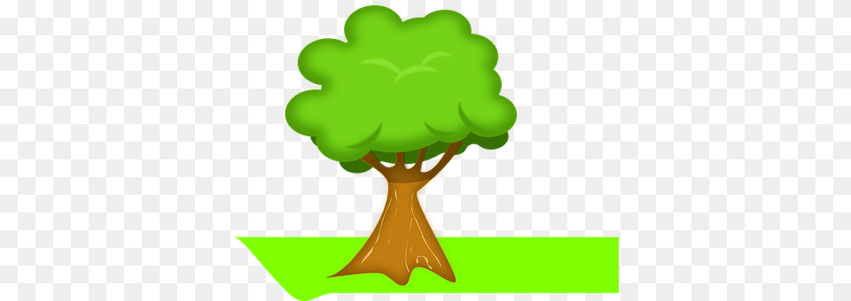 Tree Green, Plant, Vegetation Free Png