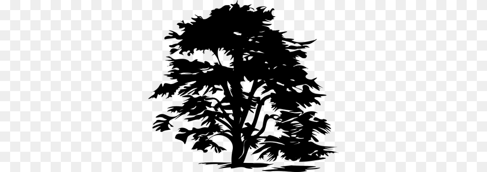 Tree Gray Free Transparent Png