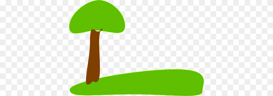 Tree Agaric, Fungus, Mushroom, Plant Free Png Download