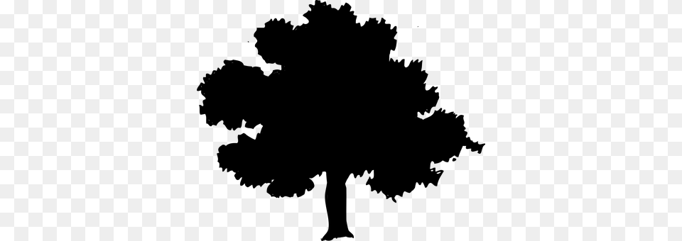 Tree Gray Free Png