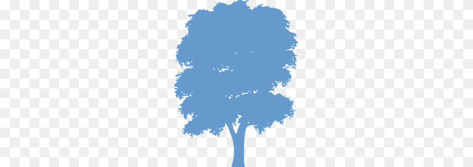 Tree Plant, Art, Nature, Outdoors Free Png
