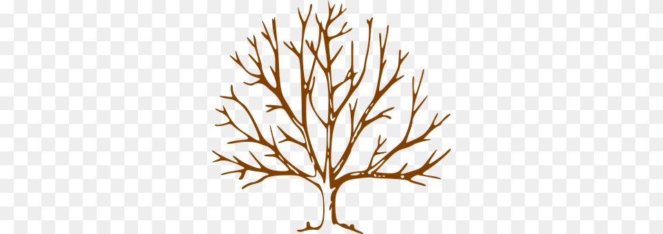 Tree Plant Png