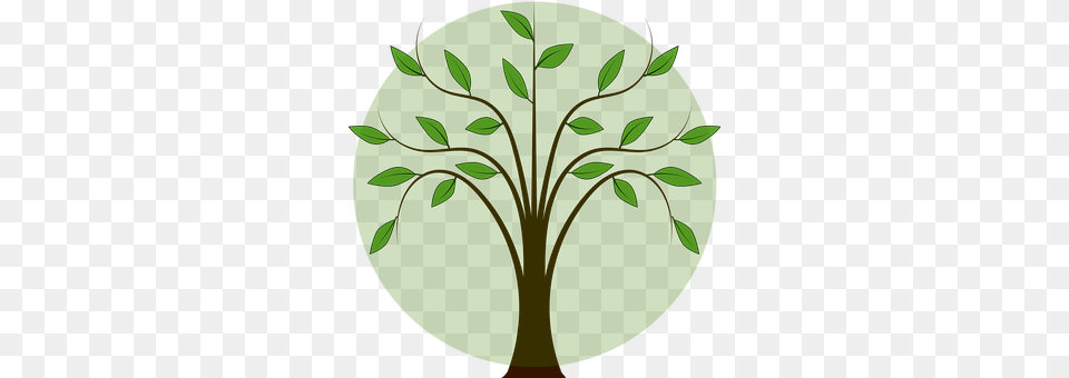 Tree Art, Floral Design, Graphics, Green Free Png Download